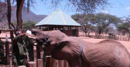 How Northern Kenya is building a circular economy through sustainable tourism